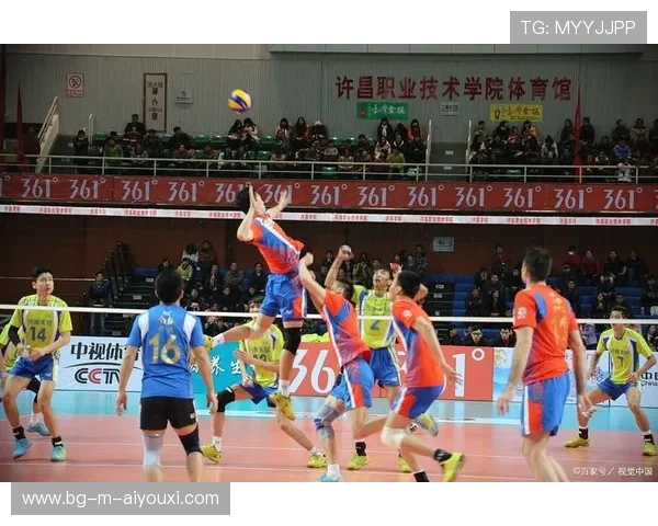 国际排球联赛赛程密集，各队维持高质量训练状态